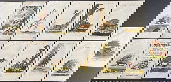 Buffon - 12 Quadruped Engravings