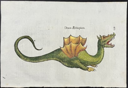 Aldrovandi, pub. 1640 - Dragon
