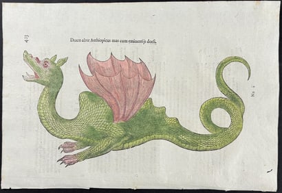 Aldrovandi, pub. 1640 - Dragon