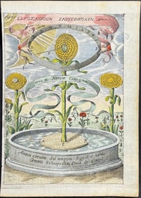 Kircher, pub. 1641 - Sunflowers used to Explain Pull of Sun (Annos circuitu Sol tempora?)