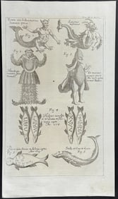Zahn - Mermaid or man, Sea Monsters, Demon & Deformities