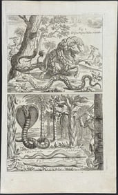 Zahn - Snakes including Cobra & Snake strangling Bull