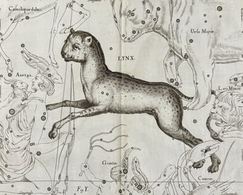 Hevelius - Constellation Chart: Lynx