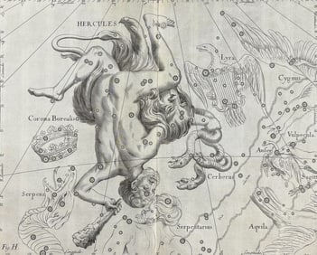 Hevelius - Constellation Chart: Hercules