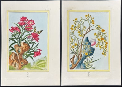 Buchoz - 4 Engravings of Botanicals with Bird, Insects