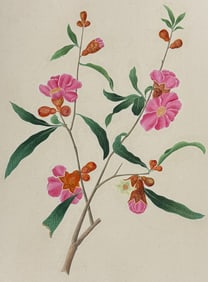 Original Watercolor of Rose