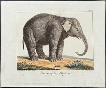 Wolf & Bock - Elephant