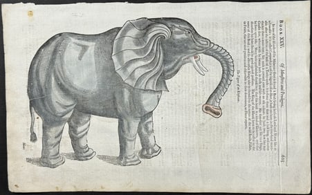 Pare, pub. 1664 - Elephant / Verso: Monster with Human Head