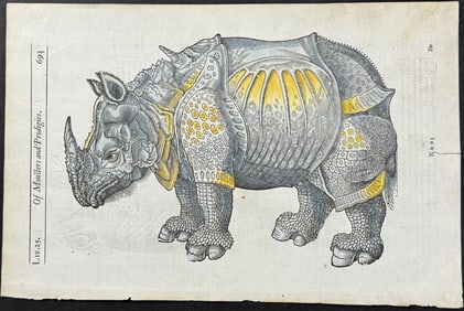 Pare, pub. 1664 - Rhinoceros / Verso: Chameleon
