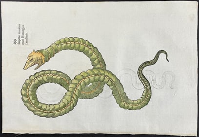 Aldrovandi, pub. 1640 - Sea Serpent