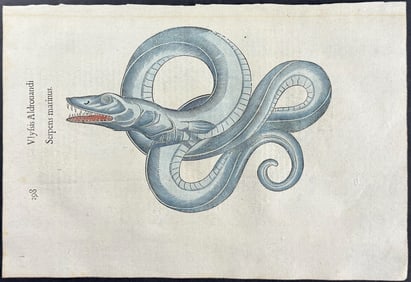 Aldrovandi, pub. 1640 - Sea Serpent