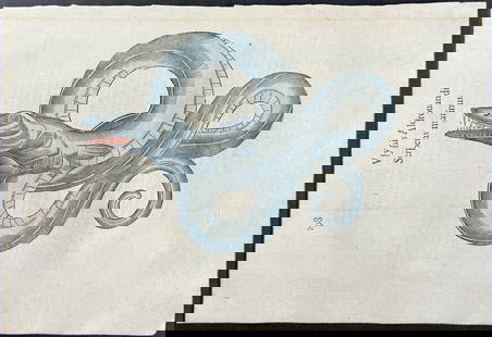 Aldrovandi, pub. 1640 - Sea Serpent: This extraordinarily rare, first edition, folio engraving is from Ulysse Aldrovandi?s Opera Omnia from the part entitled Serpentum, et draconum historiae libri duo ... The work was published in 1640 i