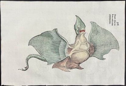Aldrovandi, pub. 1640 - Dragon