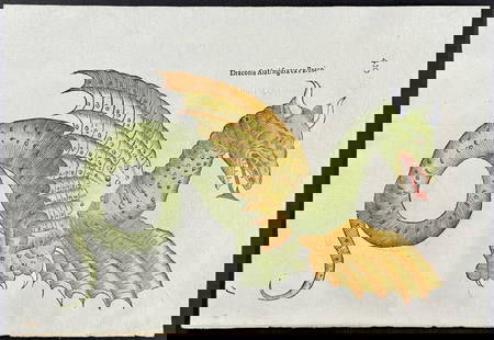 Aldrovandi, pub. 1640 - Dragon: This extraordinarily rare, first edition, folio engraving is from Ulysse Aldrovandi?s Opera Omnia from the part entitled Serpentum, et draconum historiae libri duo ... The work was published in 1640 i