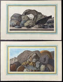 Hamilton - Pair of Volcanic Fossil Engravings