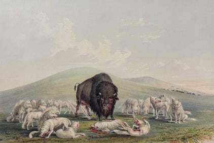 Catlin, On Card - Buffalo Hunt, White Wolves Attacking A Buffalo Bull