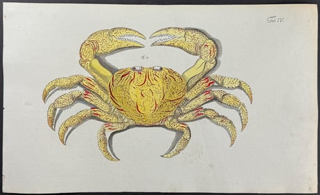 Herbst - Crab. 4