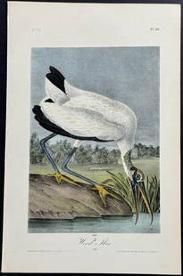 Audubon - Wood Ibis. 361: This hand-colored lithograph comes from John James Audubon's first octavo edition of Birds of America published from 1840 to 1844. The work was completed under the direct supervision of J. J. Audubon.
