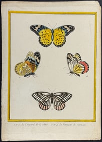 Buffon - Butterflies. 93