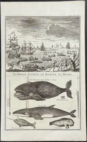 Harris - The Whale Fishery and Killing the Bears