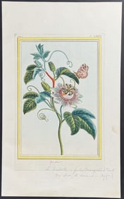 Buchoz - Blue Passion Flower & Moth. 76