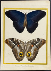 Buffon - Butterflies. 96
