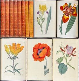 Curtis's Botanical Magazine - 16 Volumes bound in 8 with 596 Botanical Engravings