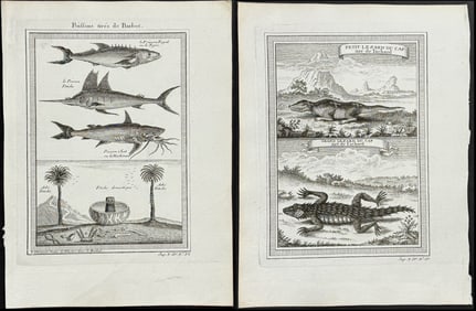Prevost - 4 Fish or Sea Life Engravings