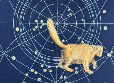 Bayer - Constellation: Ursa Minor, Small Bear