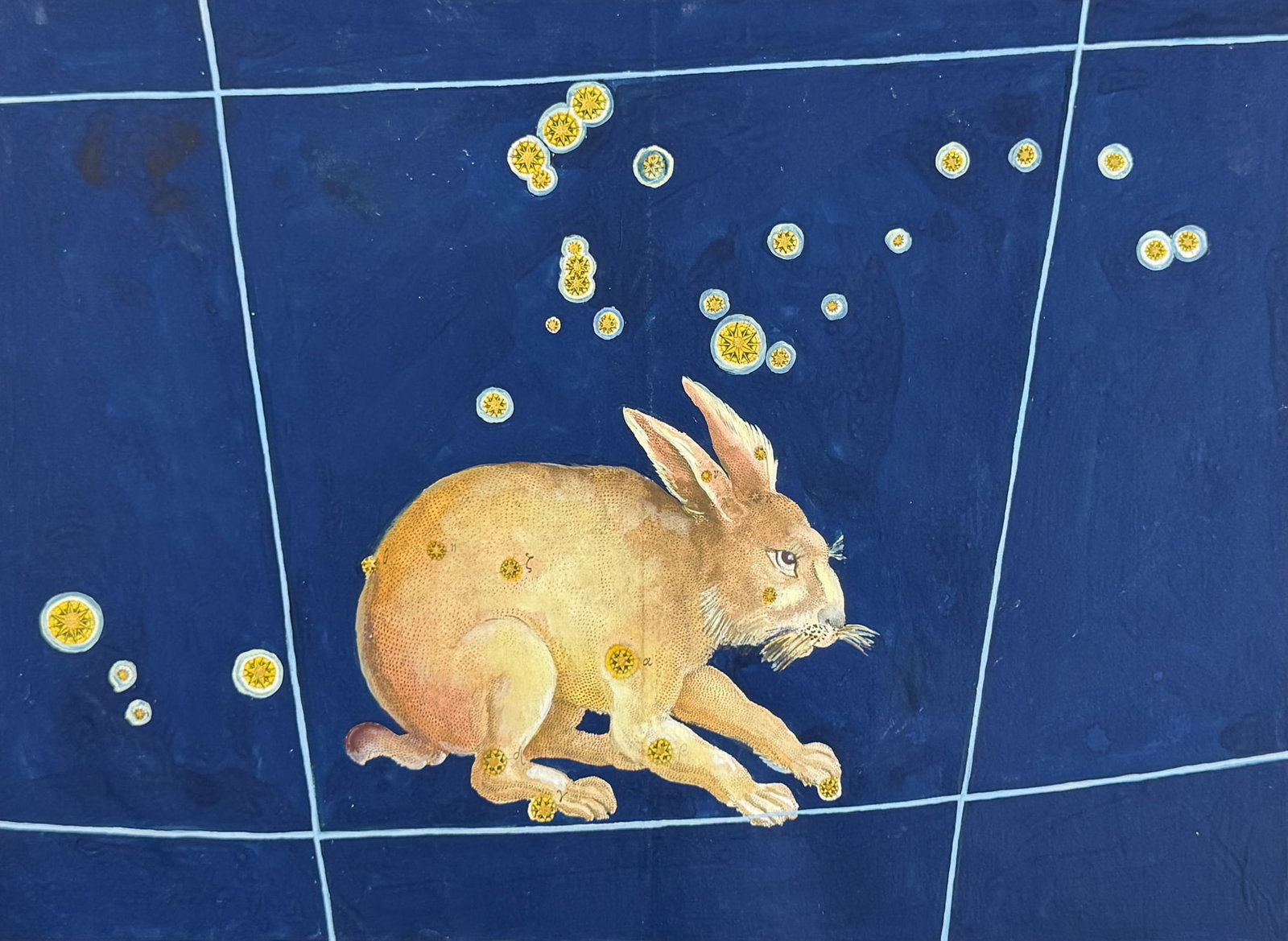 Bayer - Constellation: Lepus, the Rabbit (1 of 2)