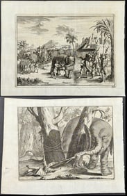 Van der Aa - Pair of Engravings with Elephants