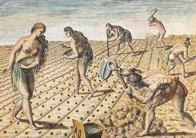 De Bry - Florida - Mode of tilling and planting