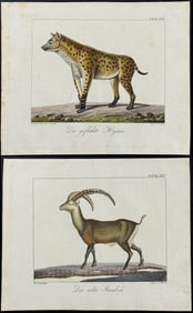 Wolf & Bock - 6 Quadruped Engravings: Llama, Antelope, Tapir, Hyena