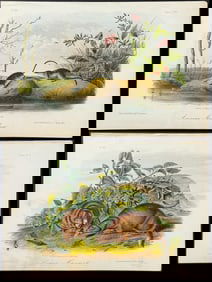 Audubon - 10 Rodent Lithographs
