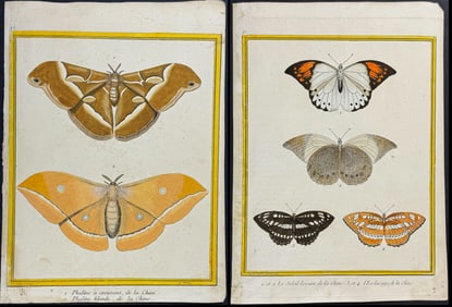 Buffon - Pair of Moth & Butterfly Engravings
