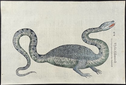 Aldrovandi - Lizard Monster