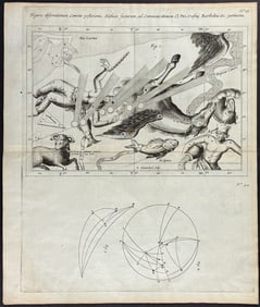 Lubieniecki - Comets, Constellations, Celestial Chart [Figura observationum comete posterioris..].
