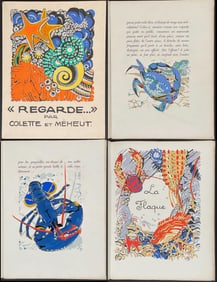 Collete & Meheut's Regarde? - Volume with Numerous Lush Sea Life Illustrations