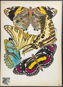 Seguy - Butterfly or Moth Pochoir. 5