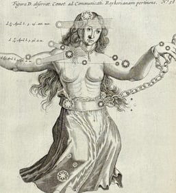 Lubieniecki - Comets, Constellation (Andromeda), Celestial Chart [Figura D. observat Comet. ad