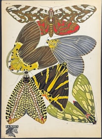 Seguy  - Butterfly or Moth Pochoir. 14