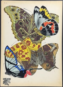 Seguy  - Butterfly or Moth Pochoir. 15