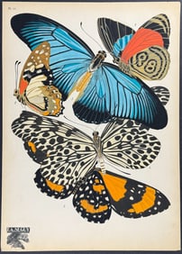 Seguy  - Butterfly or Moth Pochoir. 11