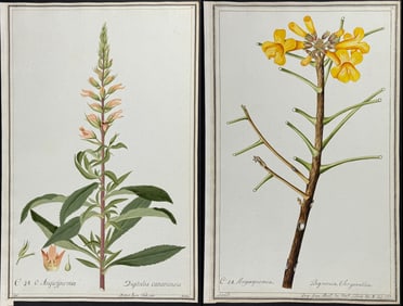 4 Original Watercolors of Flowers