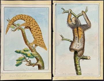 Nodder - 5 Quadruped Watercolors