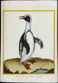 Martinet & Buffon - Penguin. 382