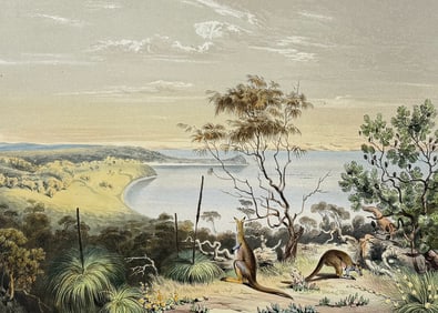 Angas, Australia - Scene on the Coorung, near Lake Albert, with the Halmaturus Greyii, a new species