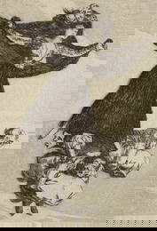 Goya - They Have Flown [Volaverunt]. 61