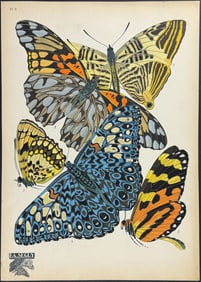 Seguy - Butterfly or Moth Pochoir. 3