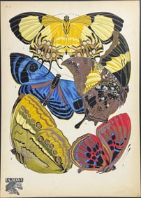 Seguy - Butterfly or Moth Pochoir. 4